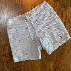 J Crew Swim trunks
